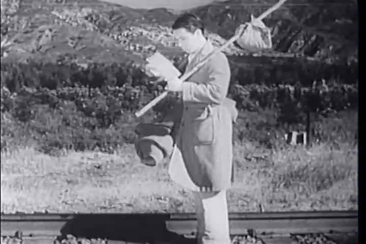 Pardon My Pups - Shirley Temple (1934)