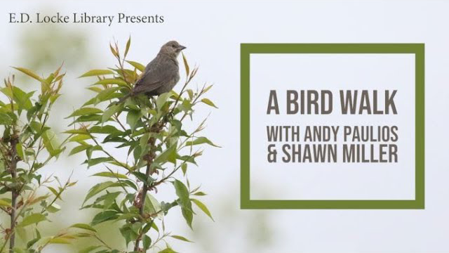 A Bird Walk with Andy Paulios and Shawn Miller